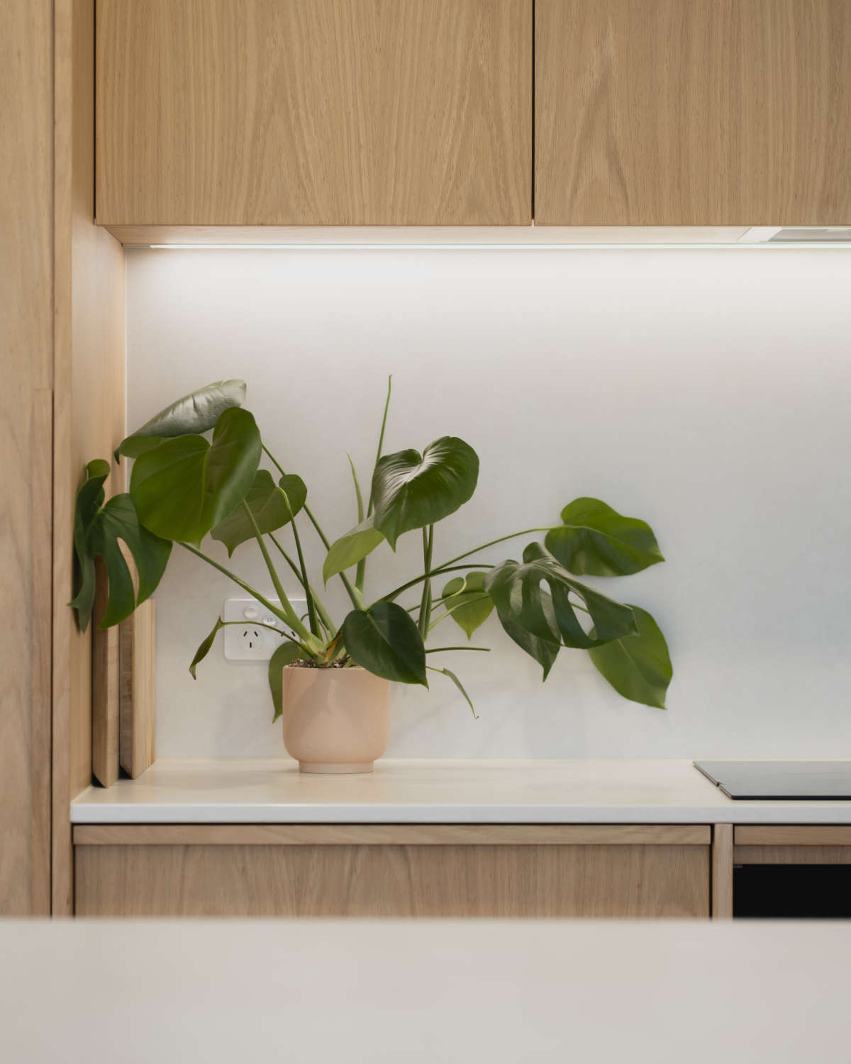 25FirstAve,CapeWoolamai-11